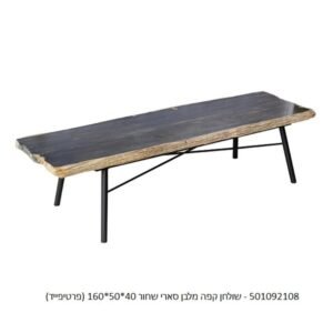 שולחן קפה מלבן סארי טבעי / שחור פרטיפייד עץ מאובן